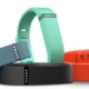 Fitbit Flex review