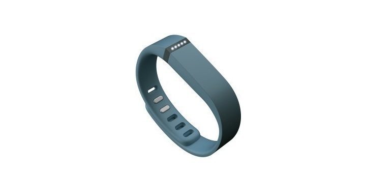 Fitbit FlexSmartHealth Review Koopgids