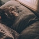 vrouw slaapt in bed