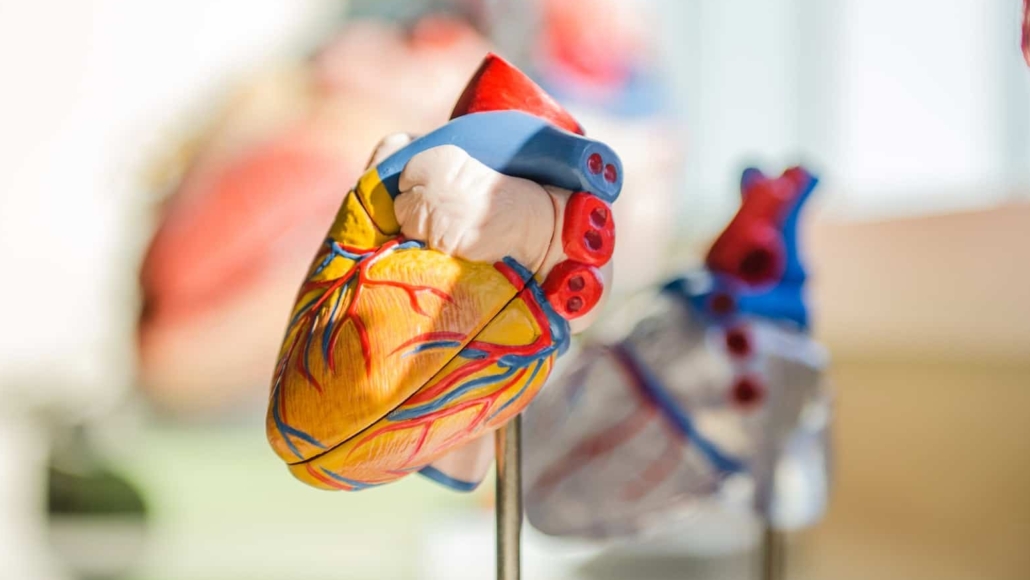 hart revalidatie ehealth