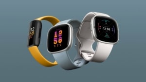 fitbit max buzz