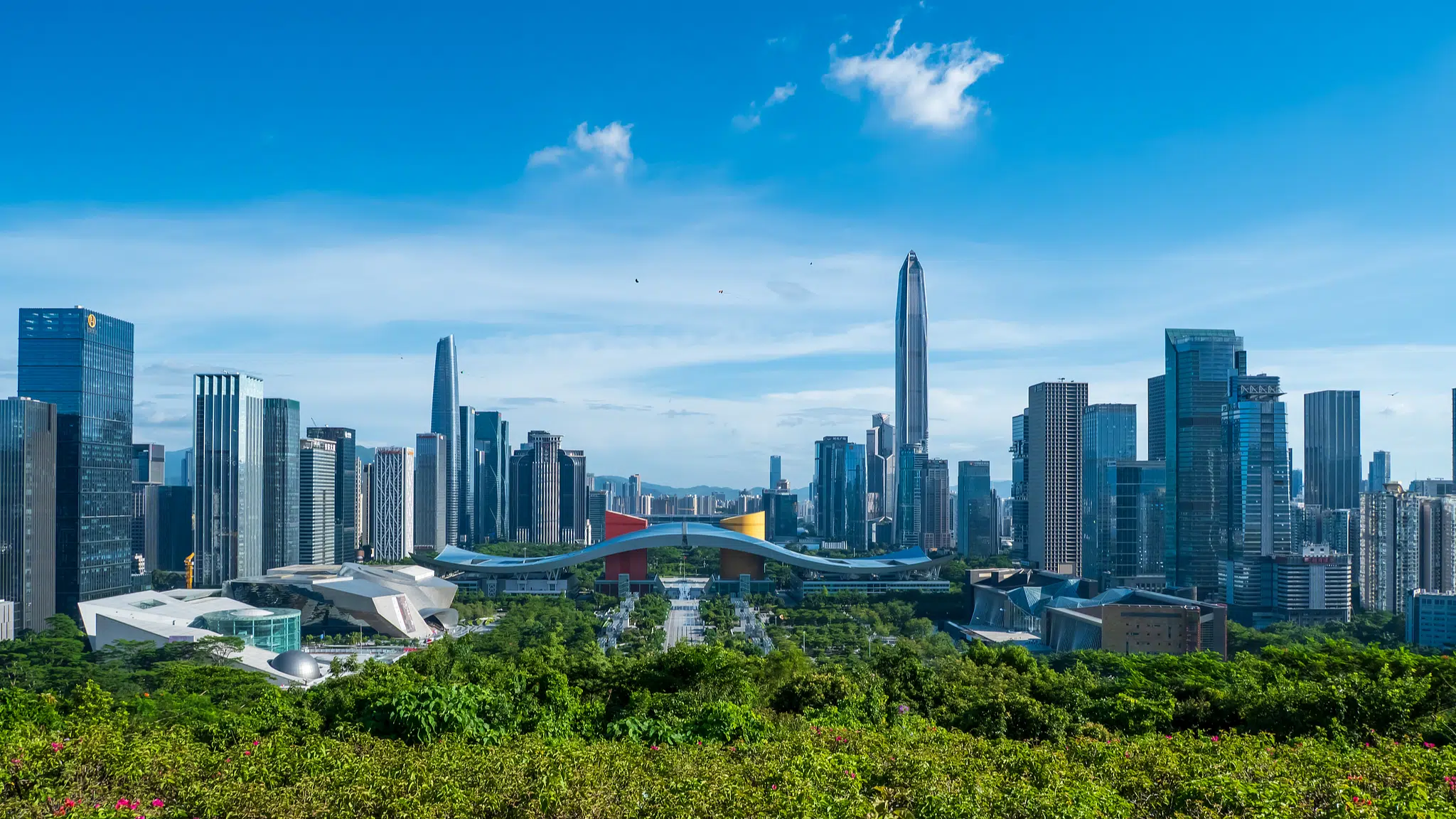Shenzen groot